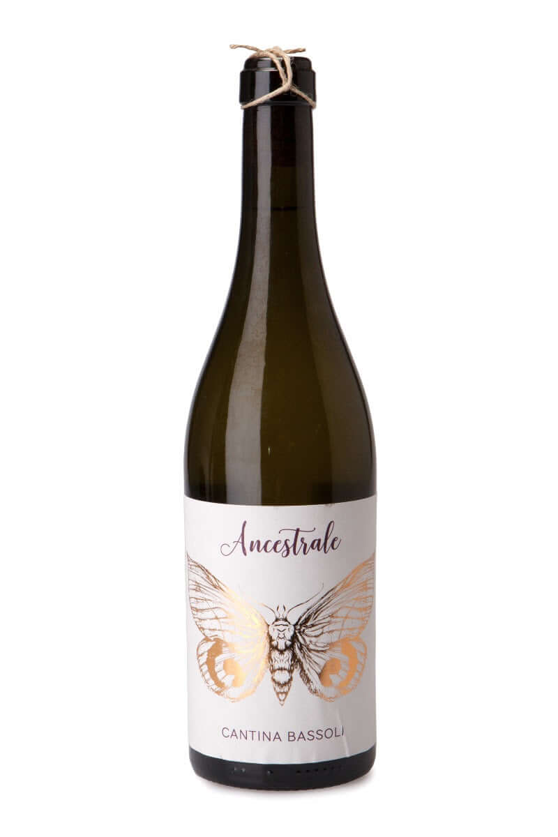 Ancestrale Lambrusco Bianco Dell'Emilia